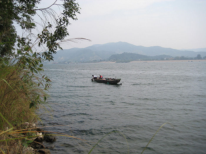 ż�����͵����