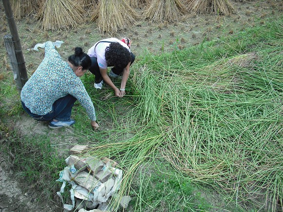 �ڡ����㡱