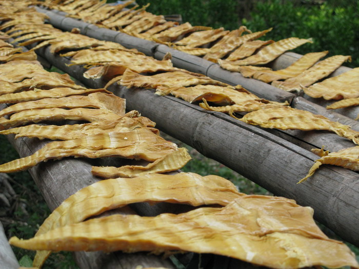 ��Ƭ 143_��С��С.jpg