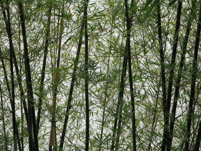 ��Ƭ 114_��С��С.jpg