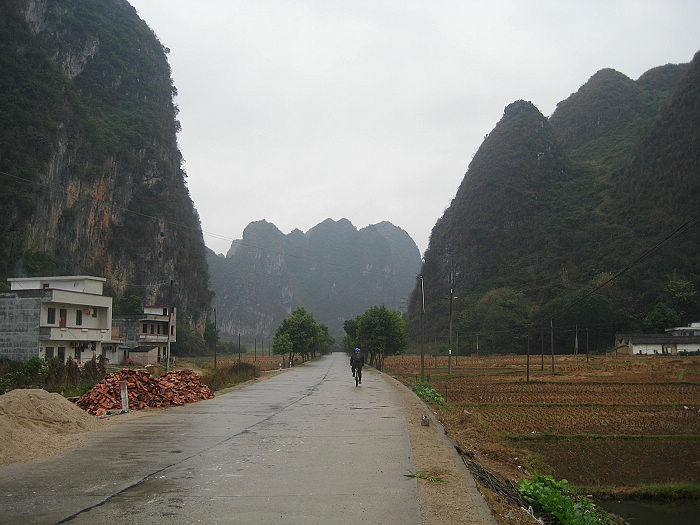 �ڷ���������