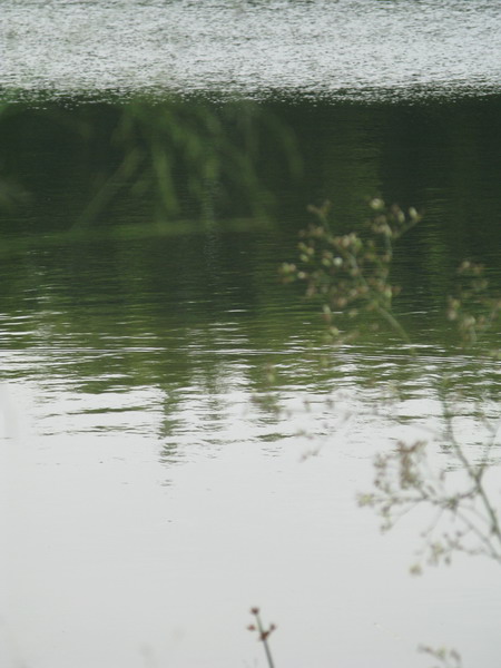 ��Ƭ 138_��С��С.jpg