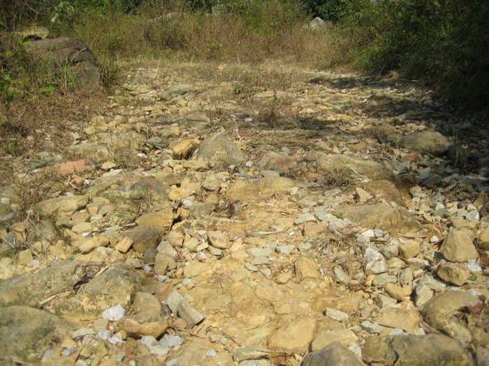 ����������η��·��