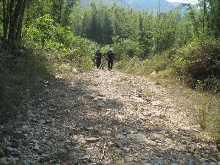 ֻ���������ķ�ʽǰ��