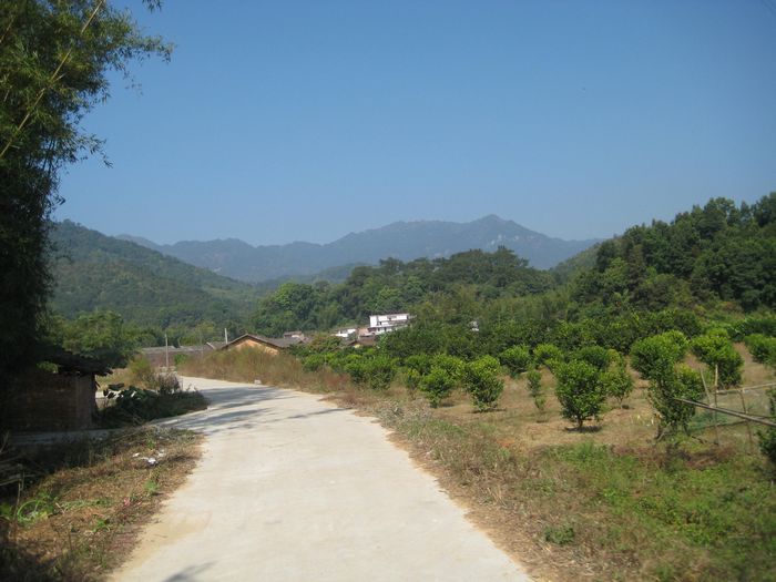 ң������ɽ