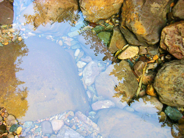 �����峺����