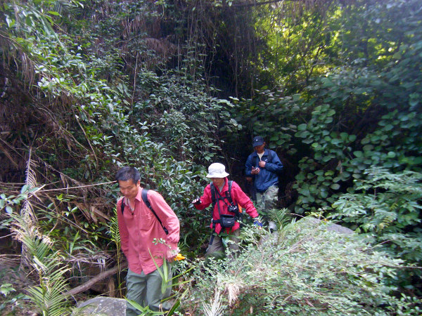 ��������¿���ն���С�桢���