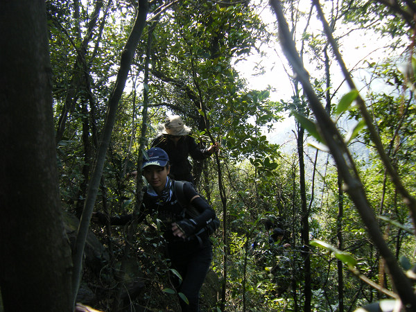 ��Խԭʼ����