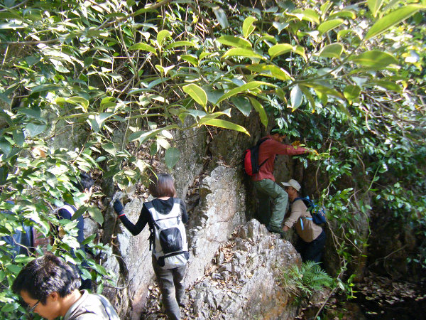 �����߱�