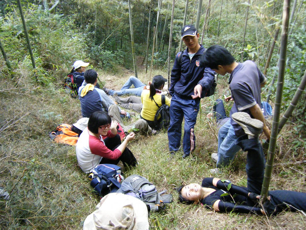 ��ɽ;������