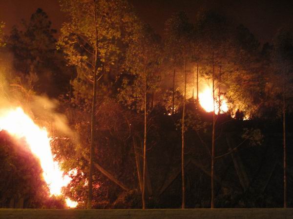 ������С IMG_0904.jpg