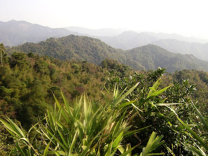 nEO_IMG_��Ƭ 029.jpg