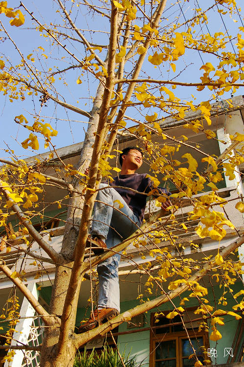 Ϊ����������