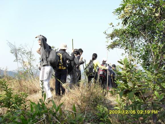 ������С SAM_0781.JPG