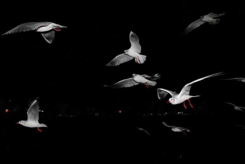 ������С DSC_0667.JPG