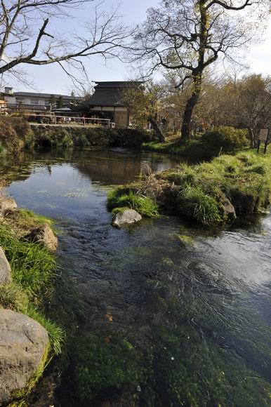 ������С _LWZ4240.JPG