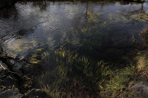 ������С _LWZ4234.JPG