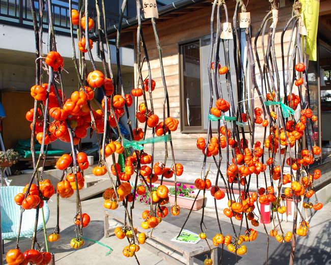 ������С DSC_0162.jpg