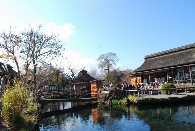 ������С DSC_0191.JPG