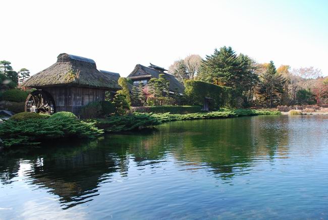 ������С DSC_0218.JPG