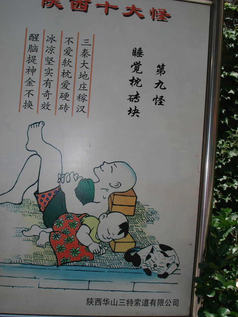 ��9��-------˯����ש��