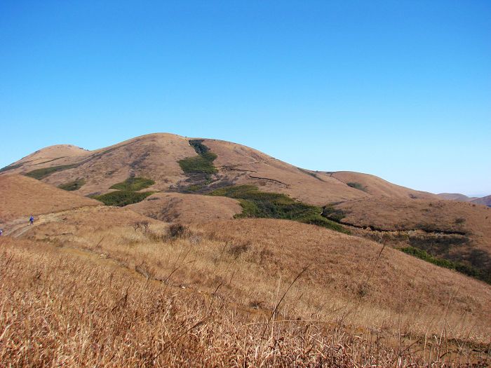 ������ yas.jpg