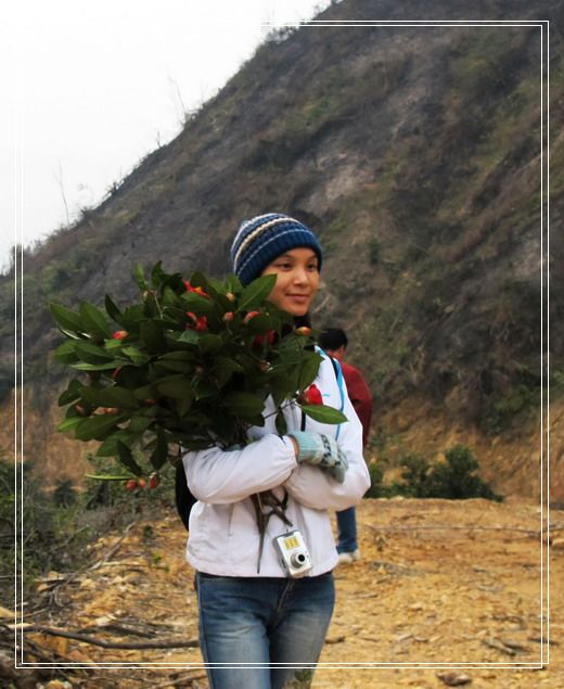 �������е�ɽ�軨���� (18).jpg