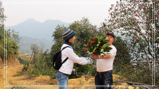 �������е�ɽ�軨���� (17).jpg