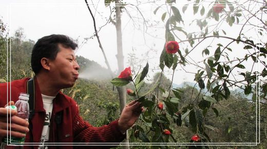 �������е�ɽ�軨���� (33).jpg