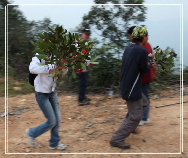 �����ߣ�