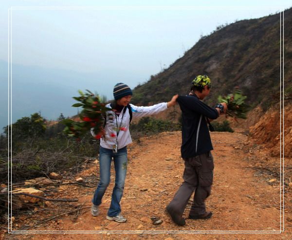 ���ߵ��ߣ�