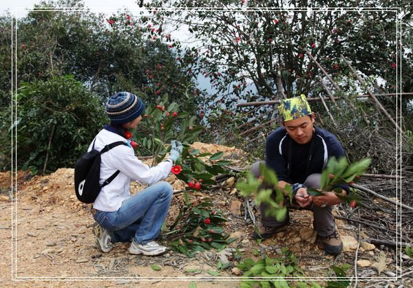 �ص�ϵ���ߡ�