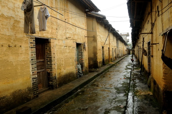 Ӣ������