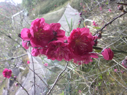 �һ�԰�ڵ�Ȼ�����һ�