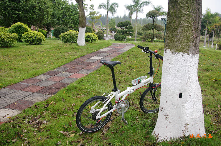 �����㳡Ҳ�д���