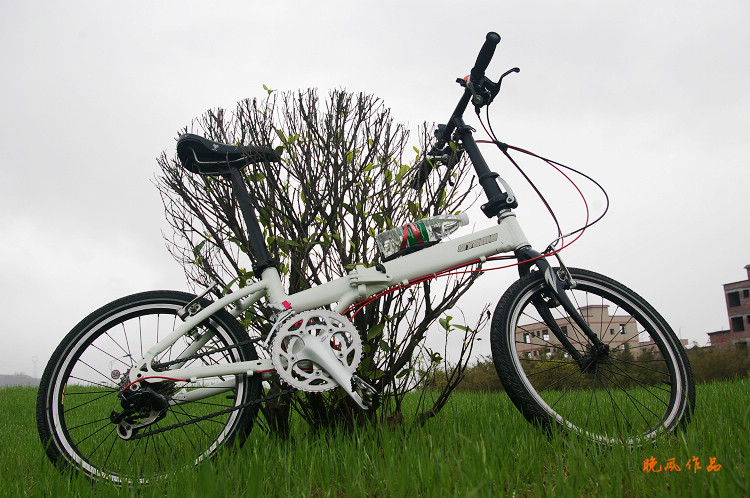 ɹɹ��˧˧�ĳ���