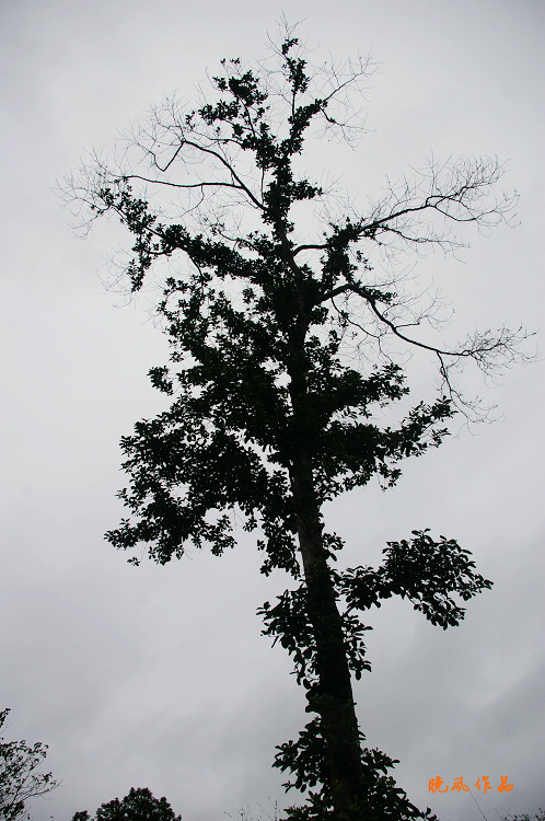 ����Ĵ���