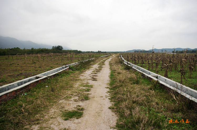 �ع��·������Ұ