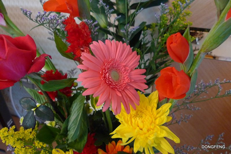 ��ķ��޾�