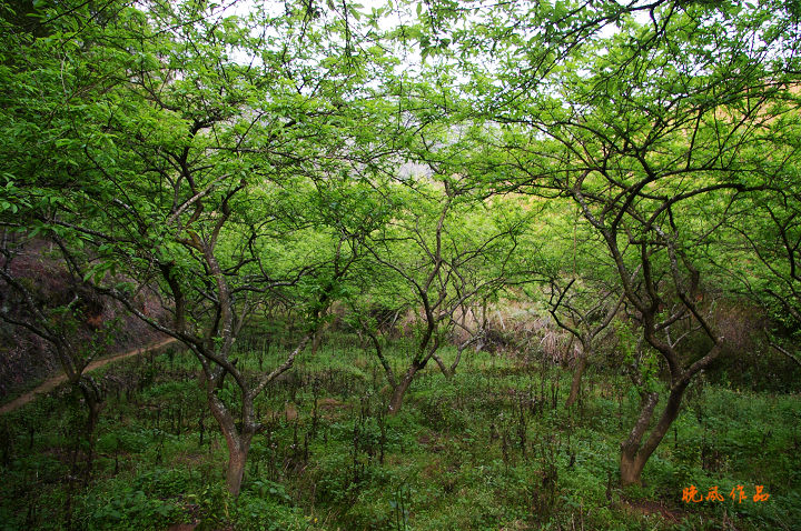 �����ֺ��񺣲��Ͻ���