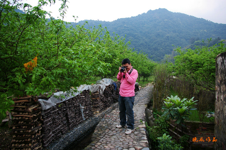 �״�ʦ������