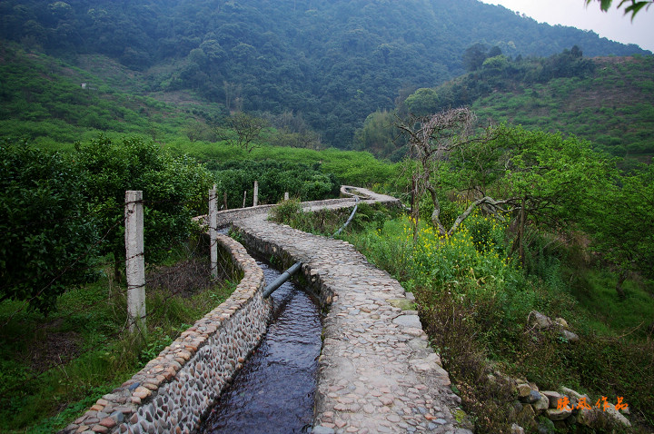 ɽ������