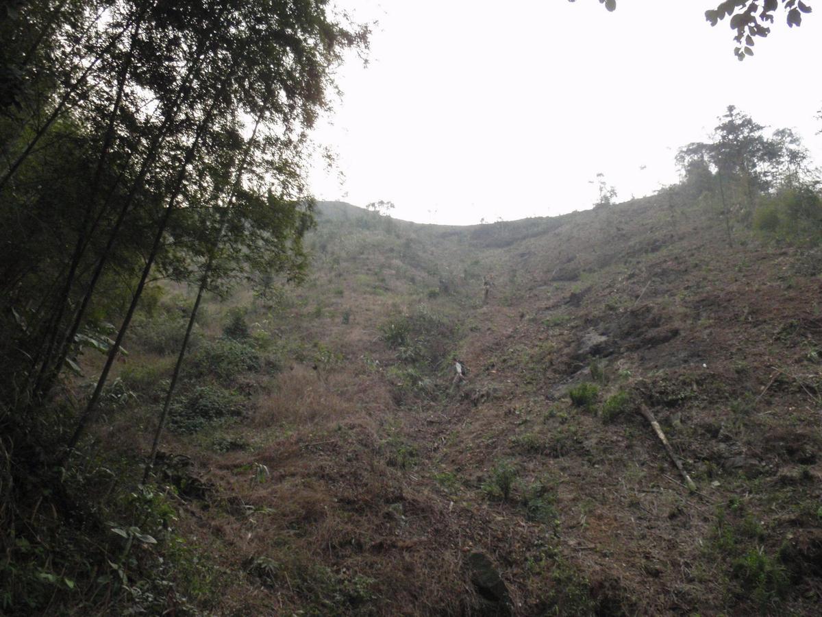 ���ͻ�����ɽ