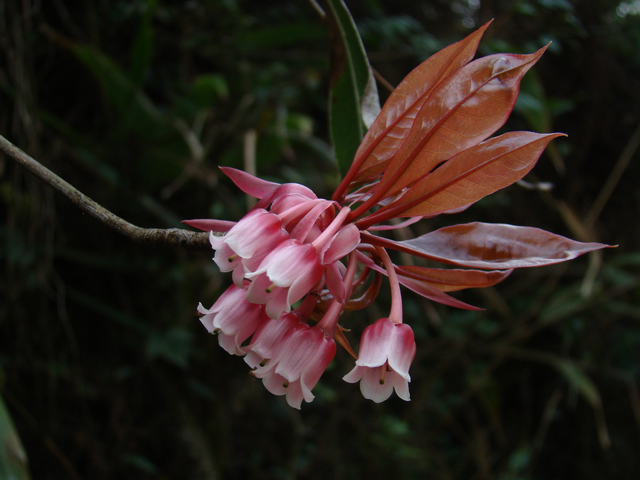 ��������ӭ����