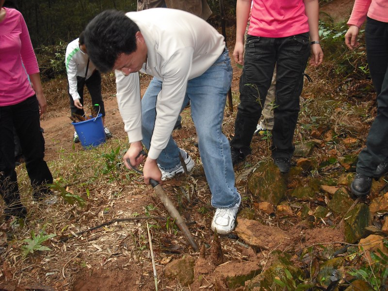 ��������ֵ�����