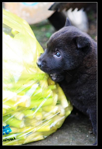 ��ҧ����ҧ����ҧҧҧ��