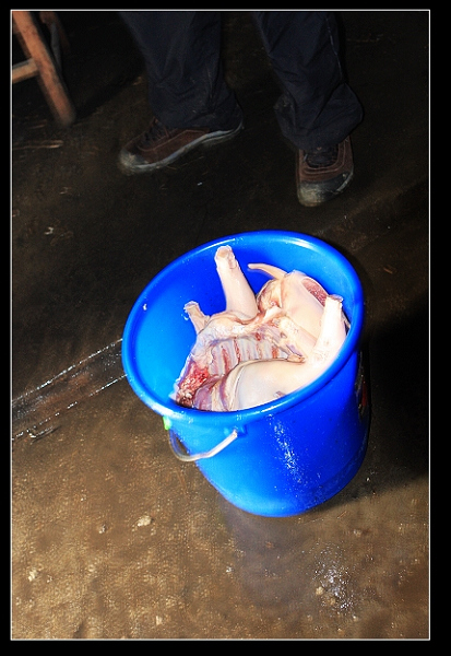 ���������ǣ�