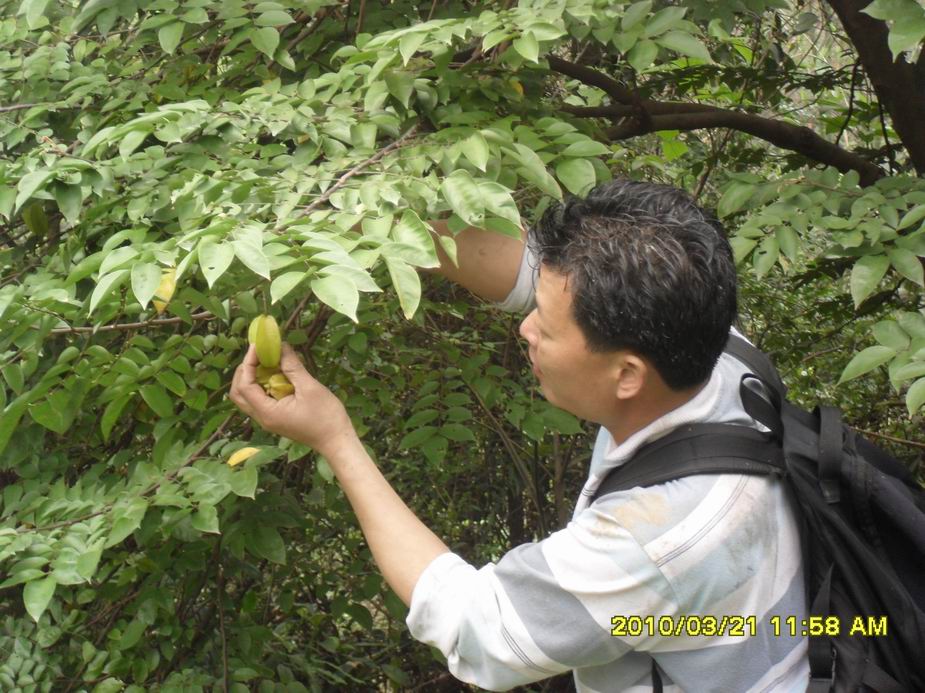 ������С SAM_1810.JPG