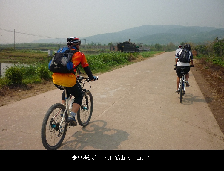 ת���ɽ����