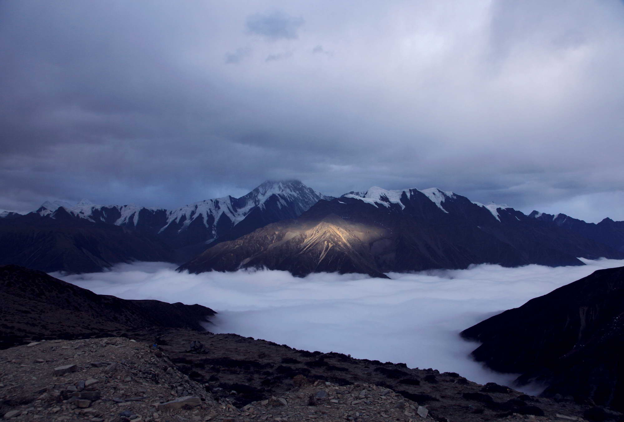 ����  ����Ĺ�